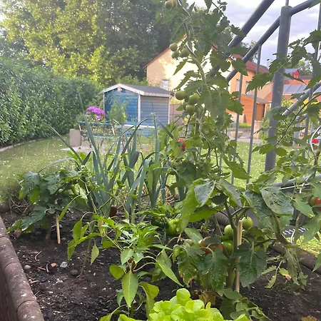 Apartmán Pappelblick Volkach