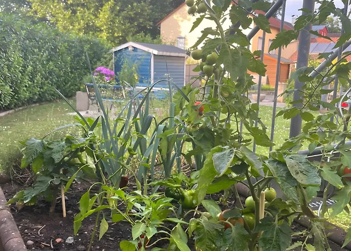 Apartment Pappelblick Volkach